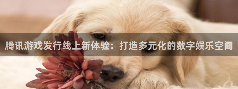 usdt钱包额度：腾讯游戏发行线上新体验：打造多元化的数字娱乐空间