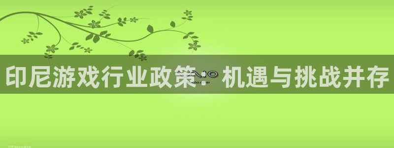 usdt usdc：印尼游戏行业政策：机遇与挑战并存