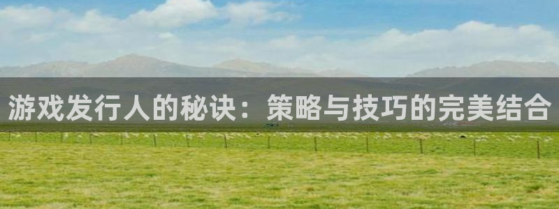 usdt币图片大全：游戏发行人的秘诀：策略与技巧的完美结合