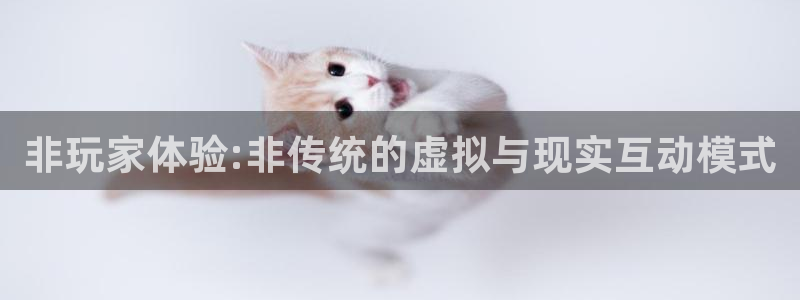 USDT的钱包有哪些：非玩家体验:非传统的虚拟与现实互动模式