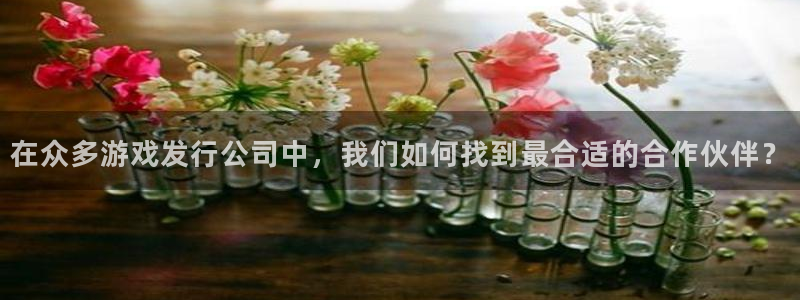 usdt怎么交易成人民币：在众多游戏发行公司中，我们如何找到最合适的合作伙伴？
