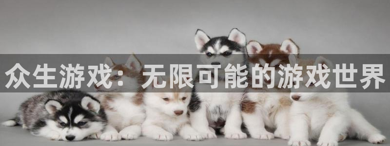 usdt的钱包：众生游戏：无限可能的游戏世界