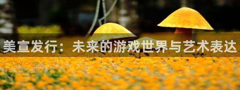 usdt能查到资金流向吗：美宣发行：未来的游戏世界与艺术表达