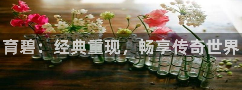 usdt交易平台下载ios：育碧：经典重现，畅享传奇世界