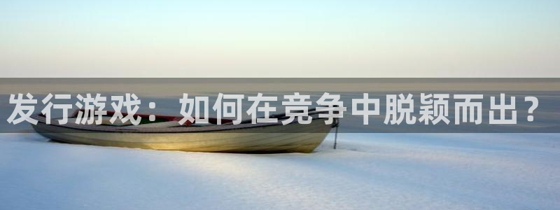 怎么创建usdt钱包：发行游戏：如何在竞争中脱颖而出？