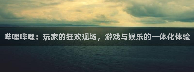 usdt-trc20怎么用：哔哩哔哩：玩家的狂欢现场，游戏与娱乐的一体化体验