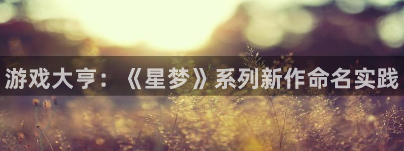 安全的usdt钱包：游戏大亨：《星梦》系列新作命名实践
