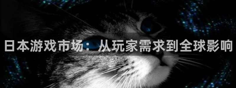 usdt能查到客户资料吗：日本游戏市场：从玩家需求到全球影响