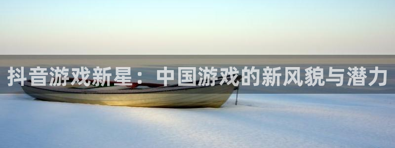 usdt钱包密码器：抖音游戏新星：中国游戏的新风貌与潜力
