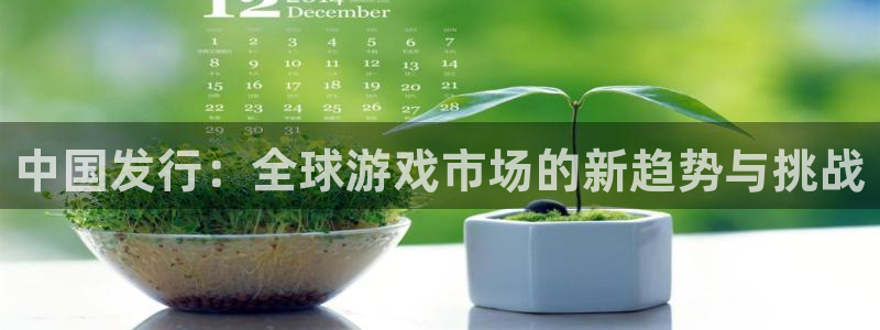 usdt支付app：中国发行：全球游戏市场的新趋势与挑战
