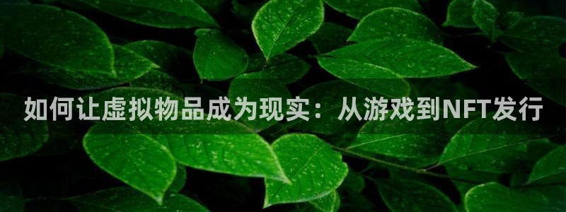usdt钱包号在哪里：如何让虚拟物品成为现实：从游戏到NFT发行