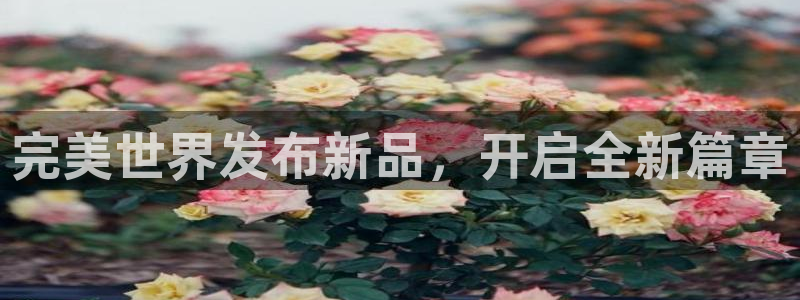 下载USDT钱包官方网站：完美世界发布新品，开启全新篇章