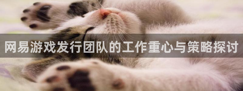 冻结的usdt怎么交易
