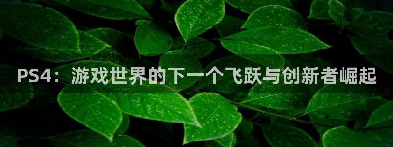 usdt收款地址怎么注册：PS4：游戏世界的下一个飞跃与创新者崛起